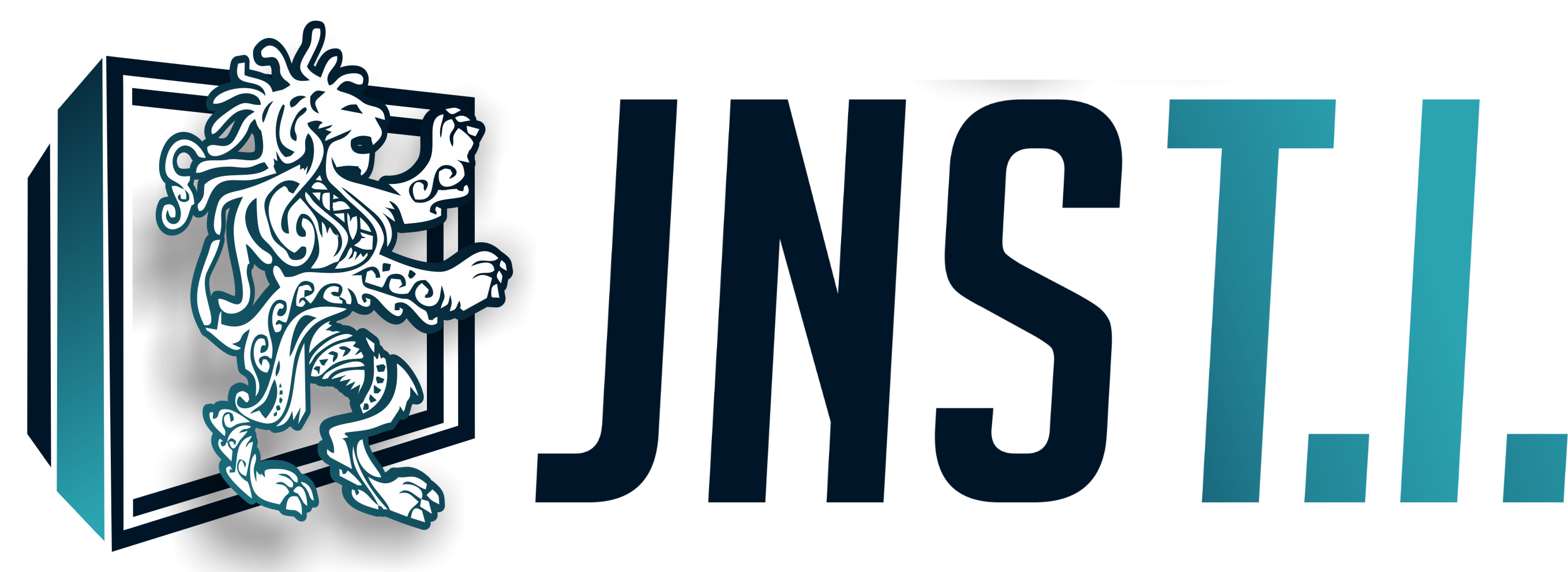 JNS TI